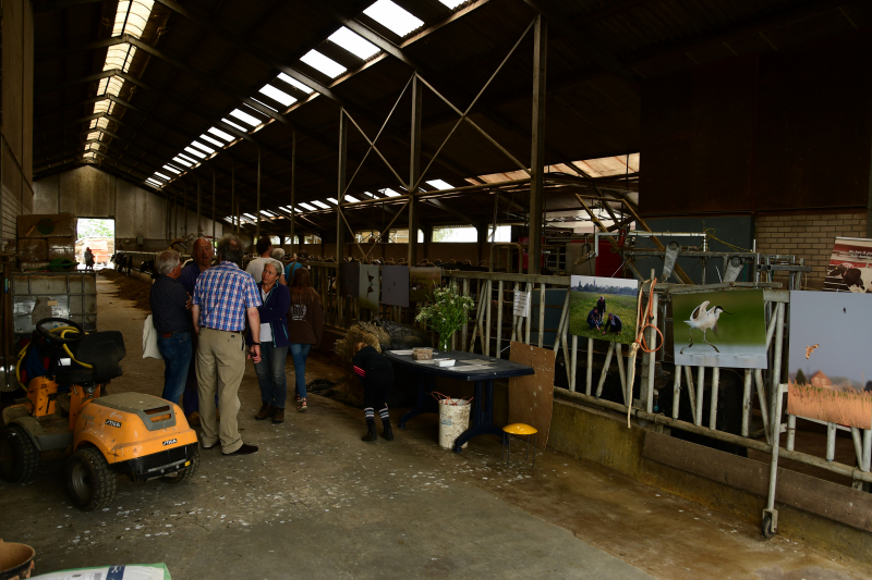 Veel publiek bij open dag en koeiendans