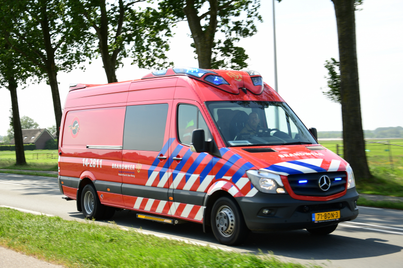 Te water geraakt paard gered door de brandweer