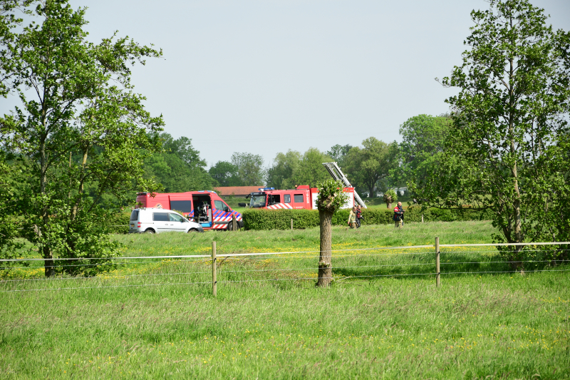 Te water geraakt paard gered door de brandweer