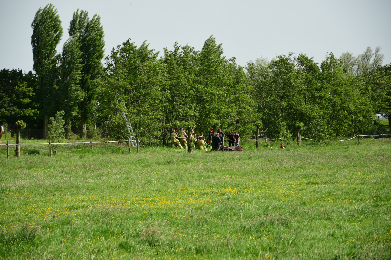 Te water geraakt paard gered door de brandweer