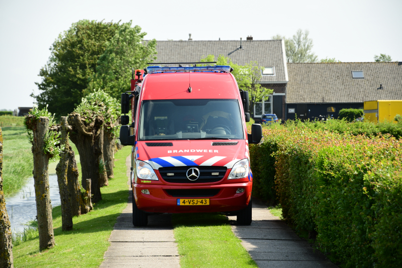 Te water geraakt paard gered door de brandweer