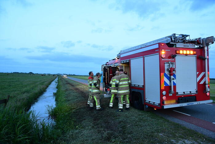 Brandweer redt koe uit sloot