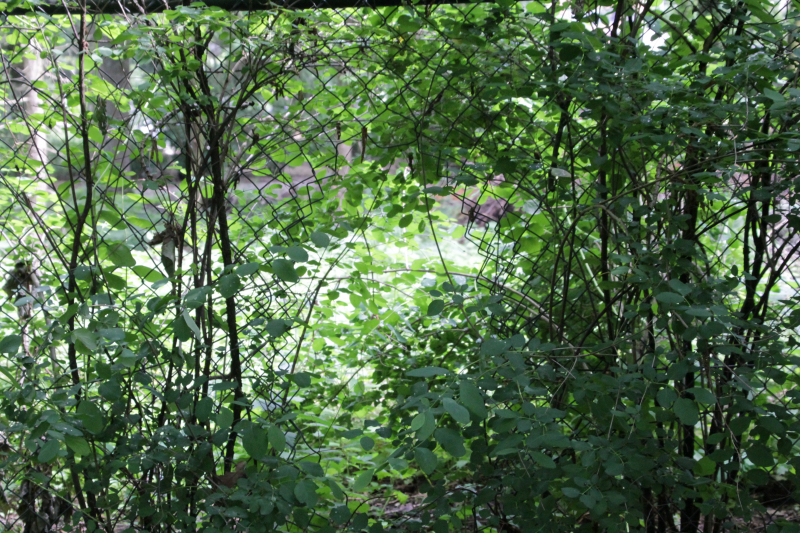 Day after grote brand ROVC