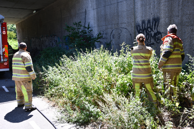 Bermbrand onder viaduct van snelweg