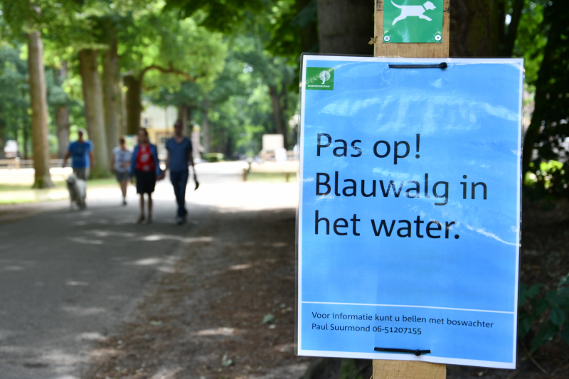 Staatsbosbeheer waarschuwt voor blauwalg bij Kasteel Groeneveld