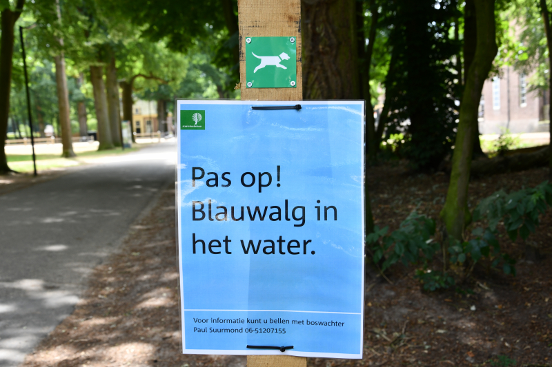 Staatsbosbeheer waarschuwt voor blauwalg bij Kasteel Groeneveld