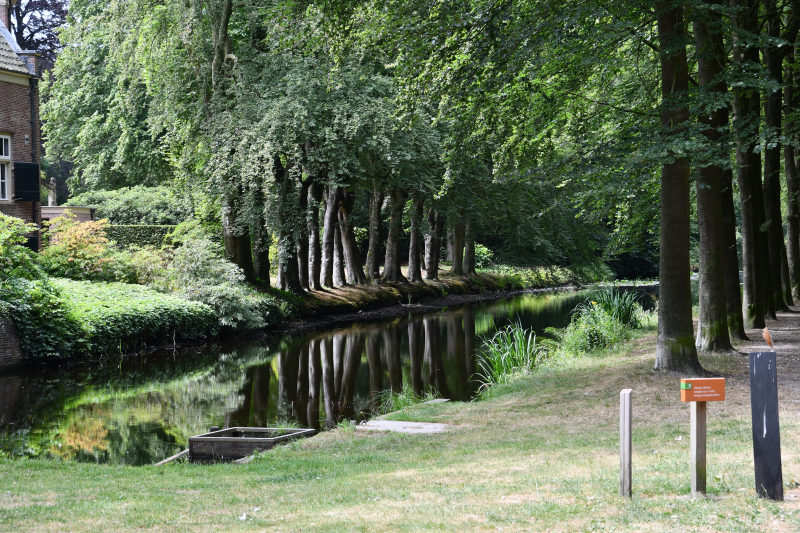 Staatsbosbeheer waarschuwt voor blauwalg bij Kasteel Groeneveld