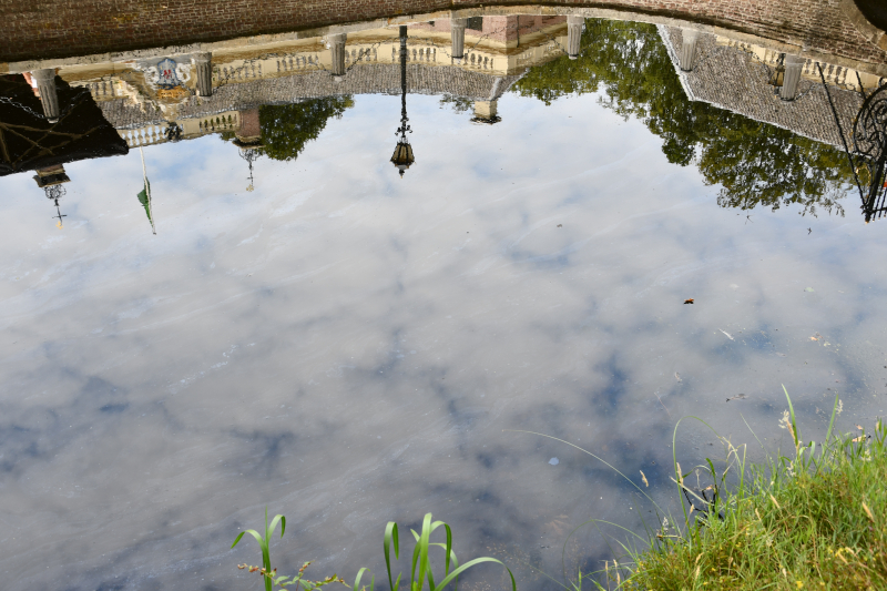 Staatsbosbeheer waarschuwt voor blauwalg bij Kasteel Groeneveld