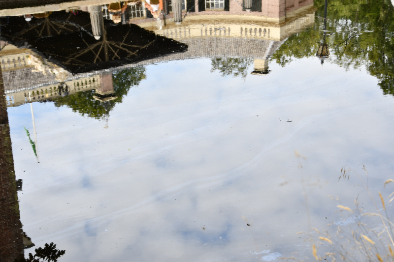 Staatsbosbeheer waarschuwt voor blauwalg bij Kasteel Groeneveld