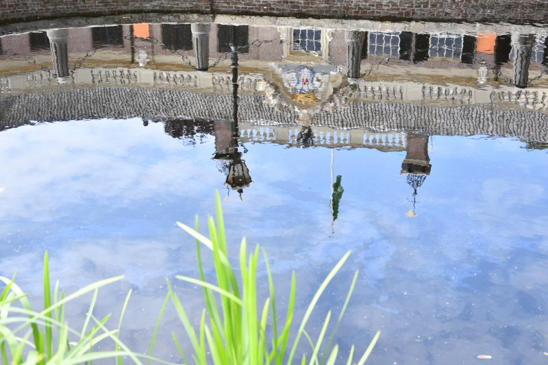 Staatsbosbeheer waarschuwt voor blauwalg bij Kasteel Groeneveld