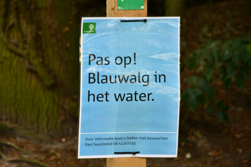 Staatsbosbeheer waarschuwt voor blauwalg bij Kasteel Groeneveld