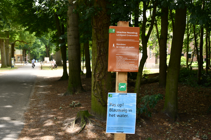 Staatsbosbeheer waarschuwt voor blauwalg bij Kasteel Groeneveld