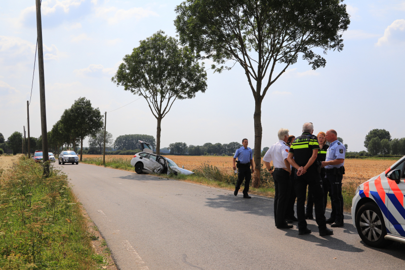 Veel schade na botsing tegen boom