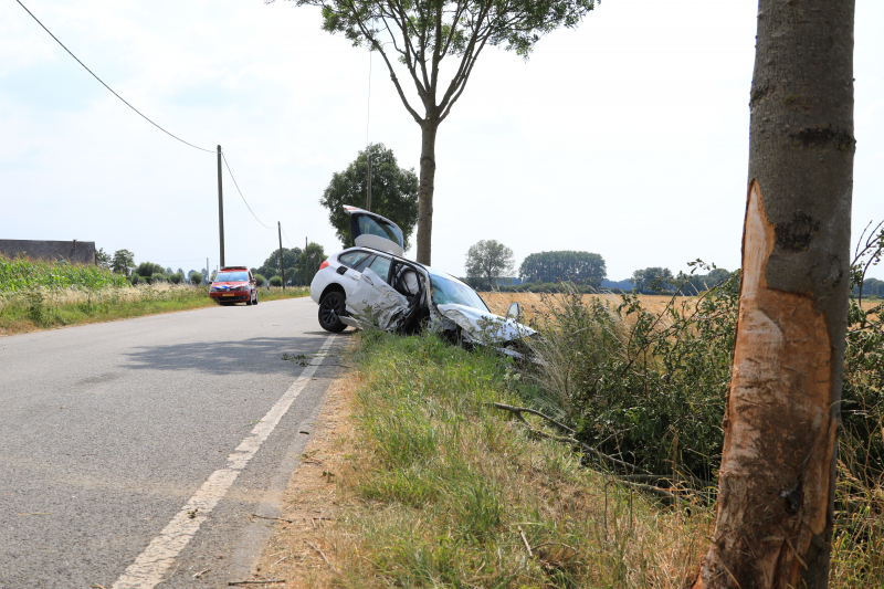 Veel schade na botsing tegen boom