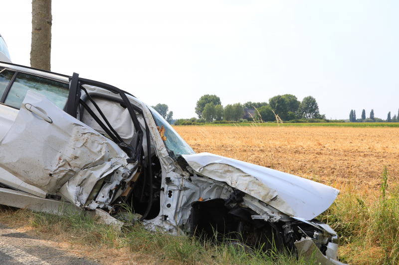 Veel schade na botsing tegen boom