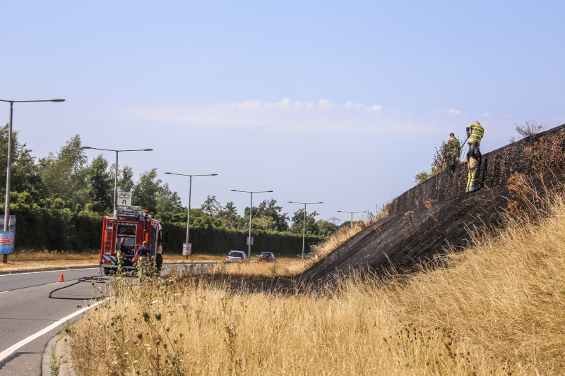 Flinke bermbrand op dijk