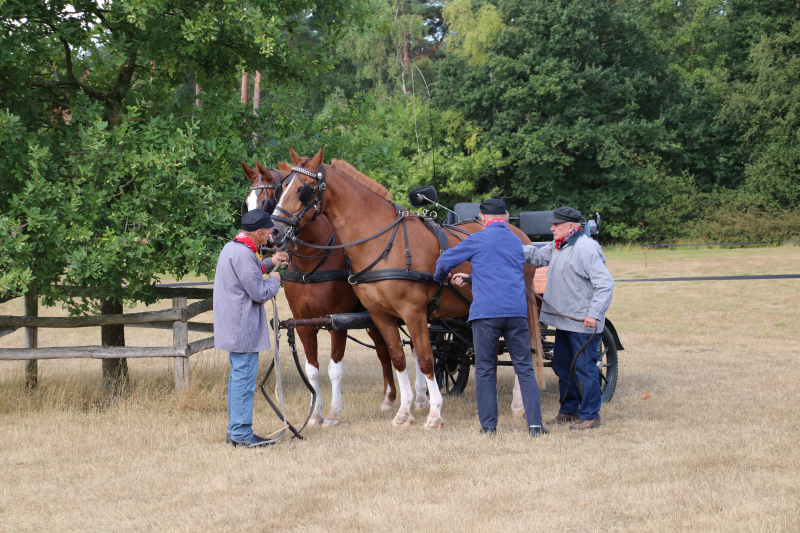24e editie Oogstdag druk bezocht
