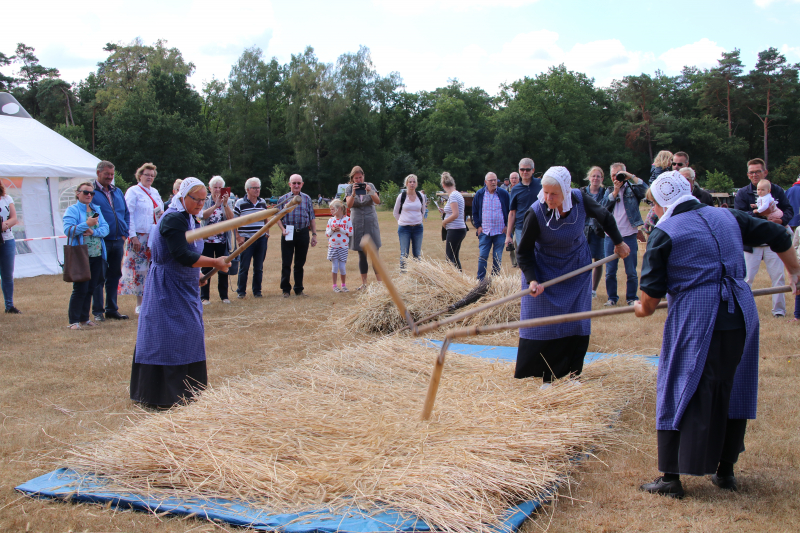 24e editie Oogstdag druk bezocht