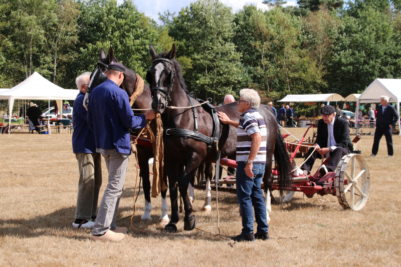 24e editie Oogstdag druk bezocht