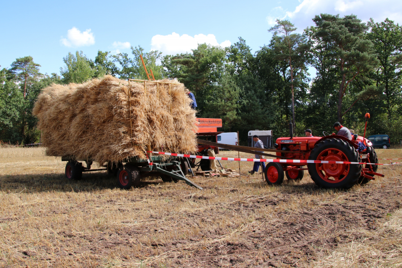 24e editie Oogstdag druk bezocht