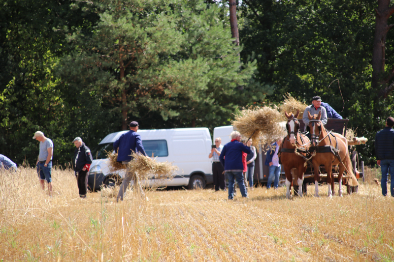 24e editie Oogstdag druk bezocht