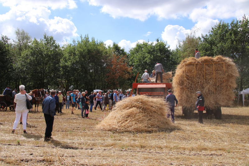 24e editie Oogstdag druk bezocht