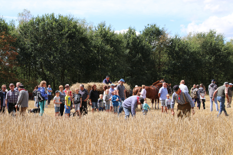 24e editie Oogstdag druk bezocht