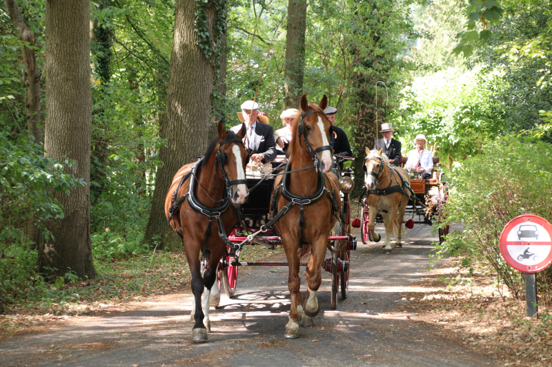 Kastelenrit in Vorden verreden onder uitstekende weersomstandigheden