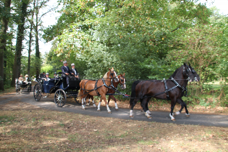 Kastelenrit in Vorden verreden onder uitstekende weersomstandigheden