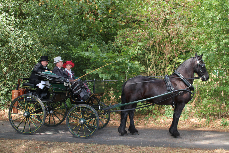 Kastelenrit in Vorden verreden onder uitstekende weersomstandigheden