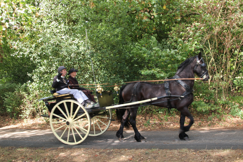 Kastelenrit in Vorden verreden onder uitstekende weersomstandigheden