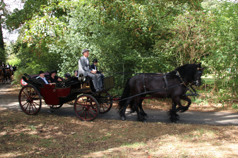 Kastelenrit in Vorden verreden onder uitstekende weersomstandigheden