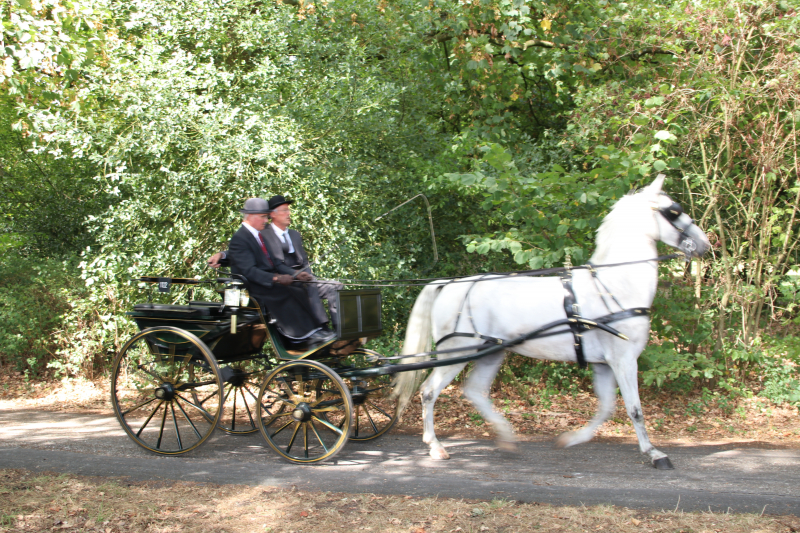 Kastelenrit in Vorden verreden onder uitstekende weersomstandigheden