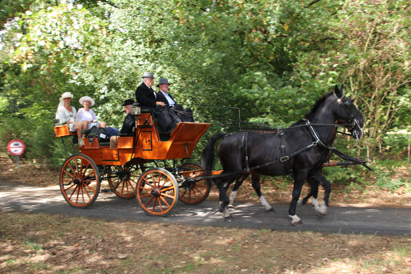 Kastelenrit in Vorden verreden onder uitstekende weersomstandigheden