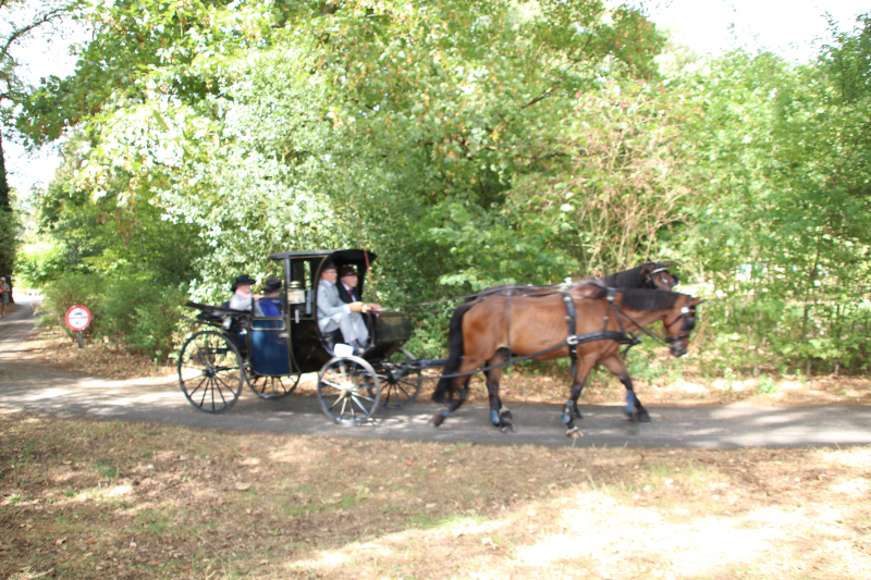 Kastelenrit in Vorden verreden onder uitstekende weersomstandigheden