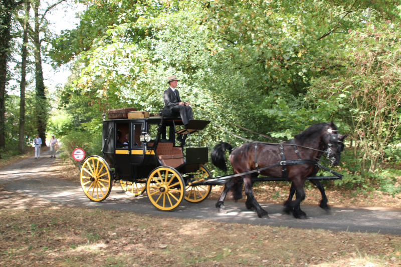Kastelenrit in Vorden verreden onder uitstekende weersomstandigheden