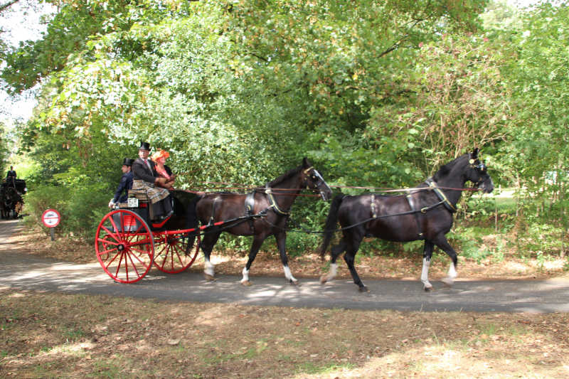 Kastelenrit in Vorden verreden onder uitstekende weersomstandigheden