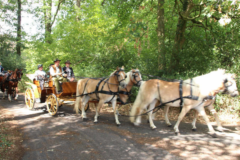 Kastelenrit in Vorden verreden onder uitstekende weersomstandigheden