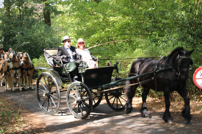 Kastelenrit in Vorden verreden onder uitstekende weersomstandigheden