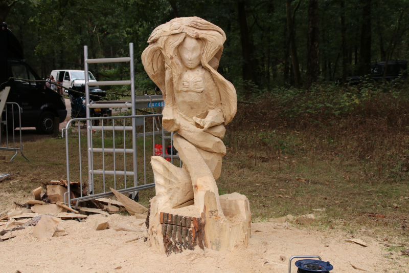 NK Carving tijdens Houthakkersfeest