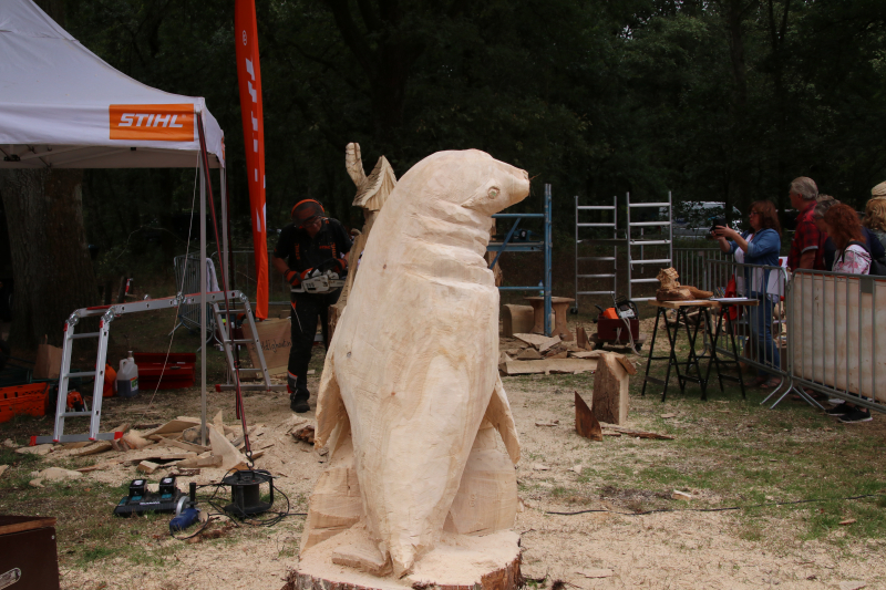 NK Carving tijdens Houthakkersfeest