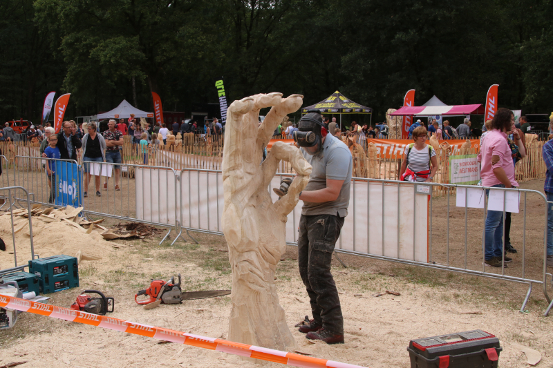 NK Carving tijdens Houthakkersfeest