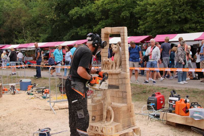 NK Carving tijdens Houthakkersfeest