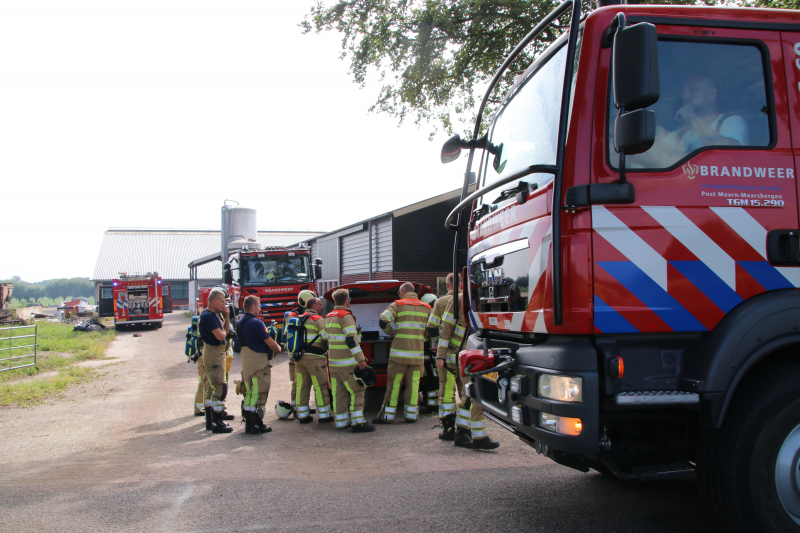 Dieren in stal onwel door dampen geoogst mais