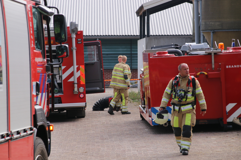 Dieren in stal onwel door dampen geoogst mais