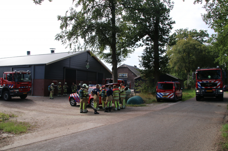 Dieren in stal onwel door dampen geoogst mais