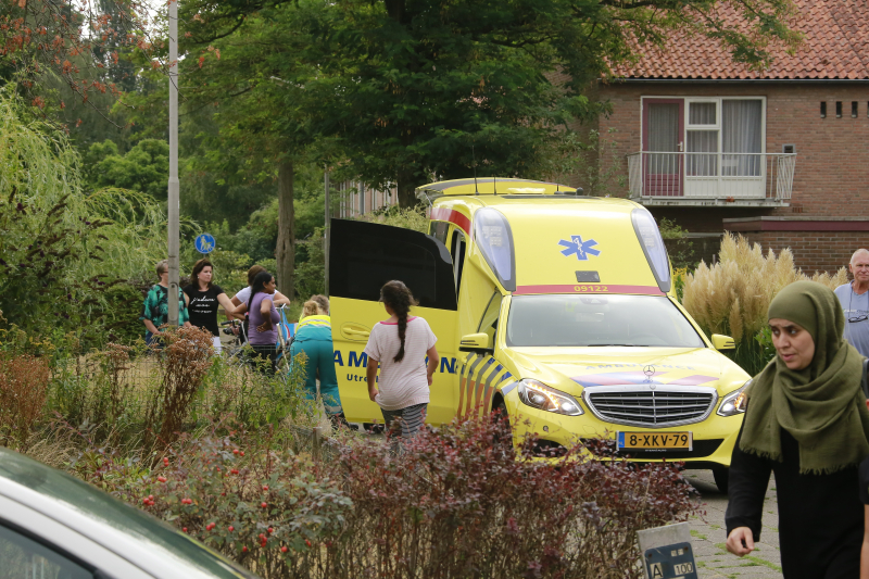 IJsvogelpad Amersfoort 112 