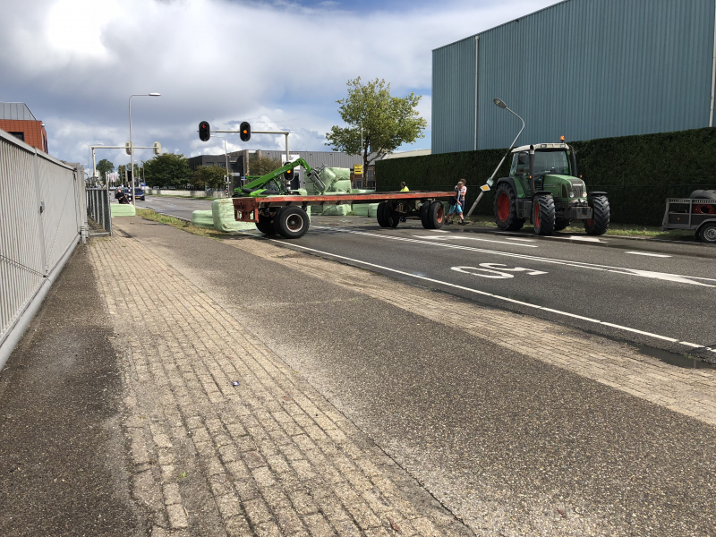 Trekker geschaard over de weg