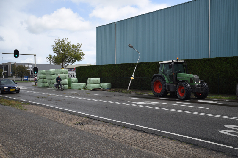 Trekker geschaard over de weg