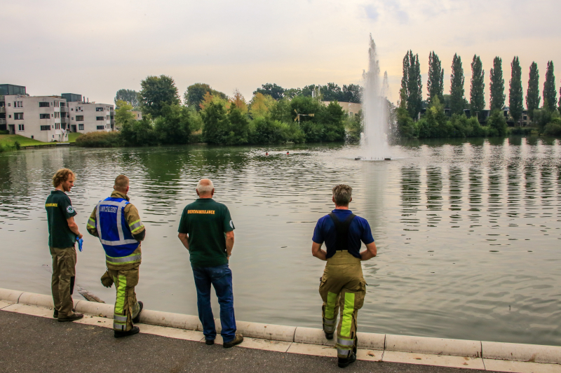Verlamde meeuw uit water gered